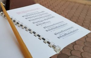 Pročitajte više o članku Svetkovina sv. Franje